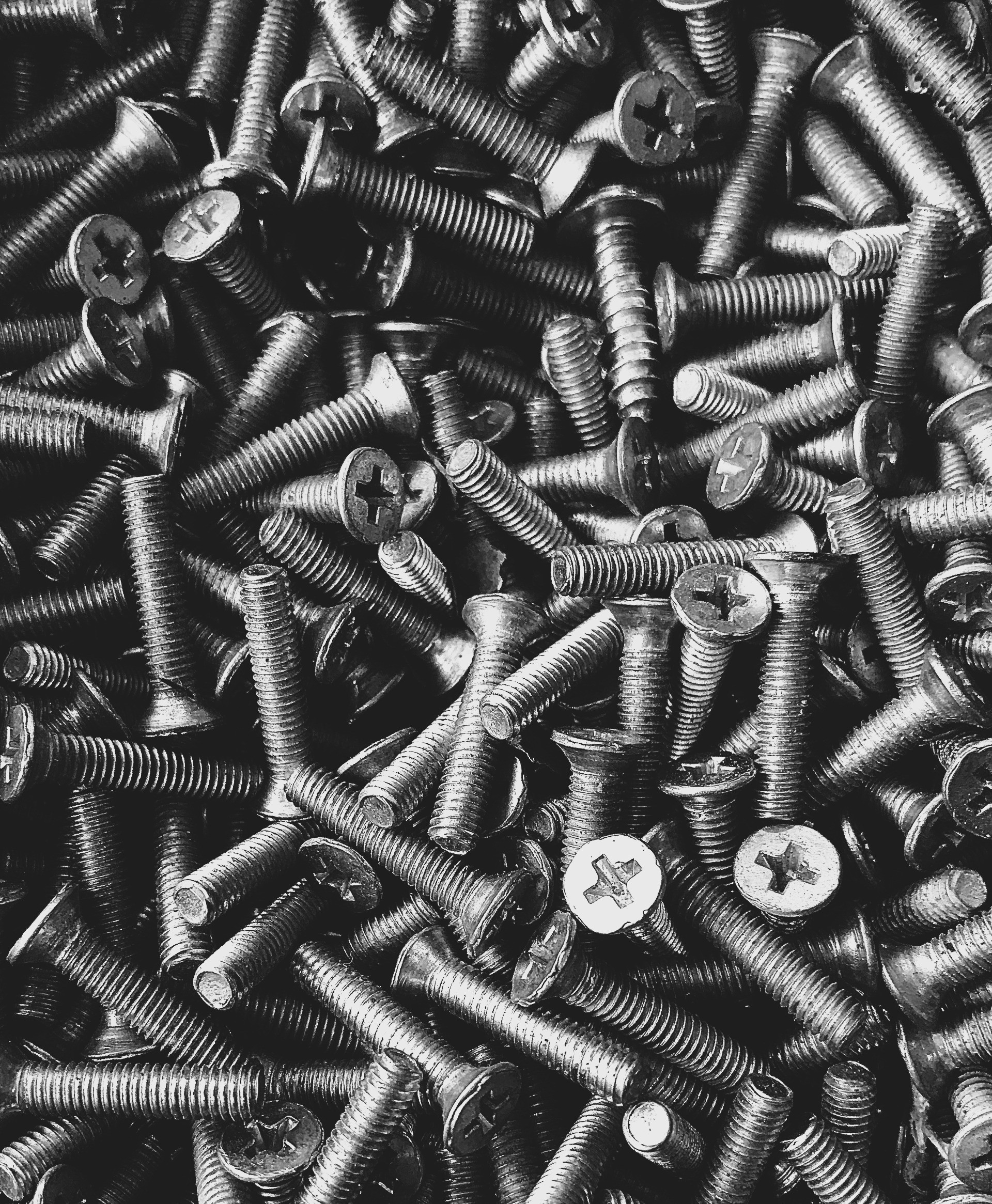 milad-fallah-wwZYL4BYFto-unsplash